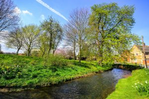 Primavera en Inglaterra - Ríos Bottesford Leicestershire