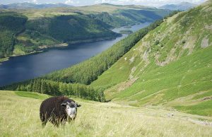 Clima de Lake District