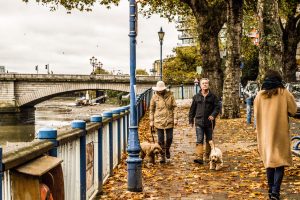 Otoño en las calles de Londres, Inglaterra