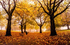 Inglaterra en otoño